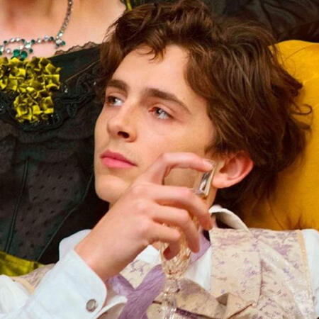 laurie from little women, as portrayed by the loml timothée chalamet
